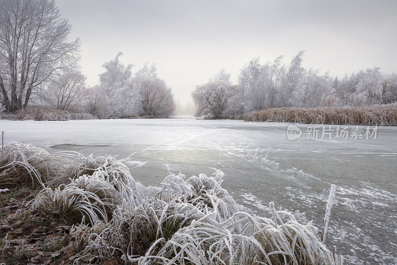 Hoar Frost, Twizel，新西兰